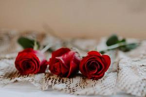 close-up shot van levendige rode rozen foto