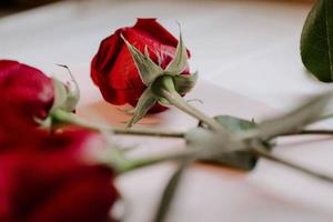 close-up shot van rode rozen op een witte tafel