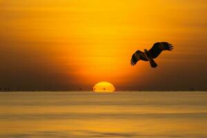 groot zonsopkomst in gouden uur Bij de meer. foto