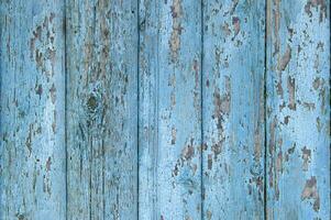 knetterde verf Aan oud licht blauw hout planken. foto