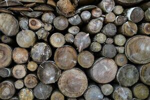 net hout in de achtergrond. brandhout stapel. foto