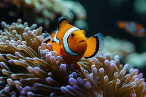 ai gegenereerd amphiprion Ocellaris clown vis en anemoon in zee. foto