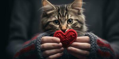 ai gegenereerd kat Holding een gebreid hart foto