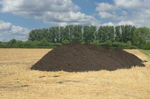 hoop van kunstmest Aan veld, lager Rijn regio, duitsland foto