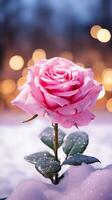 ai gegenereerd roze roos en een rood fluweel sieraden doos. gelukkig Valentijnsdag dag groet kaart concept. ai gegenereerd beeld foto