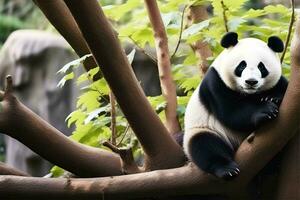 ai gegenereerd een wit en zwart behaard panda beer zit Aan een boom met groen bladeren. foto