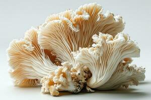 ai gegenereerd oester champignons in de keuken tafel professioneel reclame fotografie foto