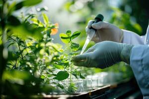 ai gegenereerd biotechnologisch Onderzoek van planten voor landbouw. foto