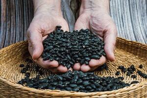 bruin kom vol van droog zwart bonen. handen vol van vers zwart bonen. gezond aan het eten en vegetarisch concept. foto