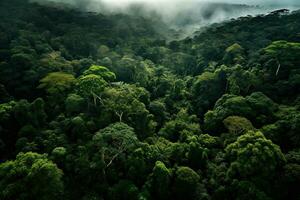 ai gegenereerd antenne visie van regenwoud in costa rica, centraal Amerika, ai gegenereerd foto