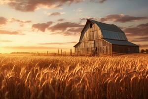 ai gegenereerd zonsondergang over- een oud schuur in een tarwe veld- in de platteland, een oud rustiek schuur in tarwe veld- onder instelling zon, ai gegenereerd foto