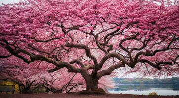 ai gegenereerd roze sakura in de Japan, sakura boom achtergrond, roze boom achtergrond, sakura behang, sakura in voorjaar foto