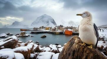 ai gegenereerd pinguïns in de arctisch, pinguïns in polair Regio's, detailopname van een mooi pinguïn, pinguïns Aan de rotsen foto