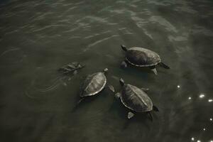 ai gegenereerd zee schildpad dichtbij omhoog over- koraal rif in Hawaii. neurale netwerk ai gegenereerd foto