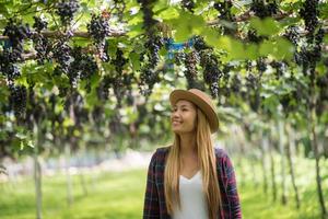 gelukkige jonge vrouwentuinman die takken van rijpe blauwe druif houdt foto