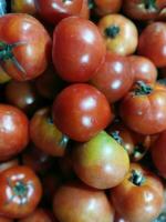 voordelen van tomaten 1helpt in gewicht verlies 2goed voor ogen 3verbetert spijsvertering 4voorkomt kanker 5bloed druk foto