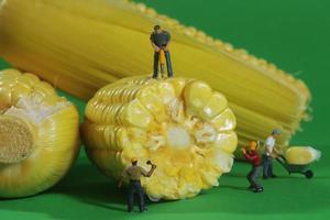 miniatuur bouwvakkers in conceptuele voedselbeelden met maïs foto