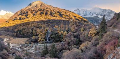 panorama van gouden dennenbos in vallei met heilige berg bij yading foto