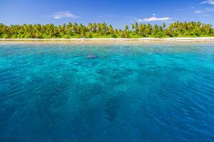 mooi tropisch strand zee kust. wit zand, palm bomen, turkoois oceaan en blauw lucht Aan zonnig zomer dag. sereen landschap achtergrond voor ontspannende vakantie. Maldiven eilanden exotisch reizen paradijs foto