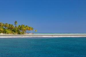 mooi tropisch strand zee kust. wit zand, palm bomen, turkoois oceaan en blauw lucht Aan zonnig zomer dag. sereen landschap achtergrond voor ontspannende vakantie. Maldiven eilanden exotisch reizen paradijs foto