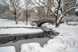 gapstow-brug in central park na sneeuwstorm foto