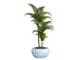 plant 3D-rendering foto
