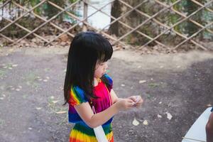 portret beeld Aziatisch kind 4 jaren oud. schattig kind zijn spelen verloten activiteiten. kinderen zweet Aan gezicht ten gevolge naar heet het weer. meisje is snijwerk stuk van papier met haar weinig hand. baby slijtage regenboog jurk. foto