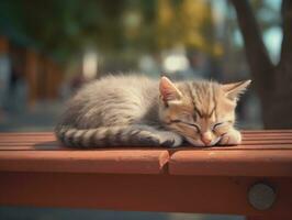 ai gegenereerd weinig schattig kat slapen Aan een bank in de tuin van stad park. foto