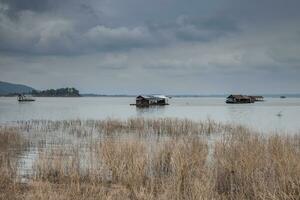 landschap visie van dam foto