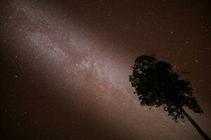 melkachtig manier en ster Bij nacht tijd foto