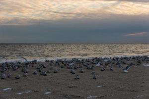 winteravond strand foto