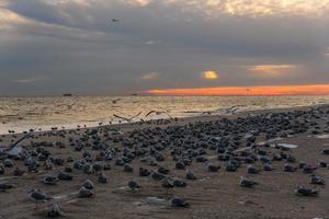 winteravond strand foto