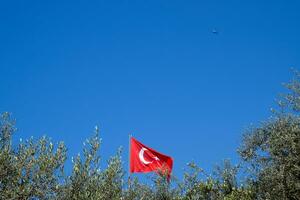 Turks vlag tegen de blauw lucht en tops van de bomen. foto