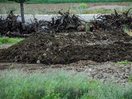 aambeien van mest in veld. koe en paard mest met land. foto