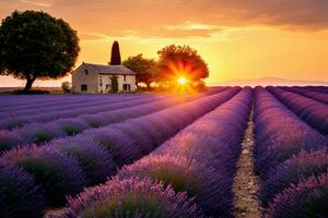 ai gegenereerd lavendel veld- Bij zonsondergang in Provence, Frankrijk, ai gegenereerd foto
