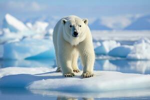 ai gegenereerd polair beer ursus maritimus Aan de pak ijs, noorden van Spitsbergen arctisch Noorwegen, een polair beer ursus maritimus Aan de pak ijs, noorden van Spitsbergen, arctisch Noorwegen, ai gegenereerd foto