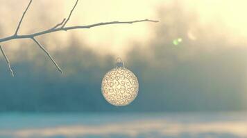 Kerstmis bal Aan boom buitenshuis, creatief foto, nieuw jaar, Kerstmis foto