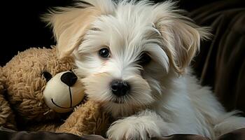 ai gegenereerd schattig puppy zitten, op zoek Bij camera, omringd door speelgoed gegenereerd door ai foto