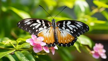 ai gegenereerd vlinder bestuiving brengt levendig kleuren naar natuur gegenereerd door ai foto