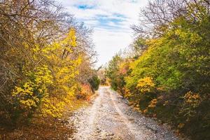 achtergrondmening van onverharde weg met herfstbomen van kanten in het nationale park van Vashlovani foto