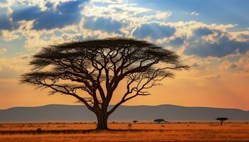 ai gegenereerd silhouet van acacia boom in Afrikaanse zonsondergang gegenereerd door ai foto