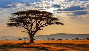 ai gegenereerd silhouet van acacia boom in Afrikaanse zonsondergang gegenereerd door ai foto