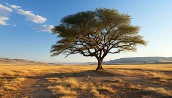 ai gegenereerd zonsondergang over- de Afrikaanse savanne, een rustig tafereel gegenereerd door ai foto