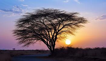 ai gegenereerd silhouet van acacia boom tegen helder oranje lucht gegenereerd door ai foto