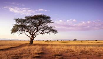 ai gegenereerd savanne zonsondergang, schoonheid in natuur, rustig tafereel gegenereerd door ai foto
