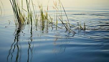 ai gegenereerd zonsondergang weerspiegelt Aan rustig vijver, natuur levendig schoonheid gegenereerd door ai foto