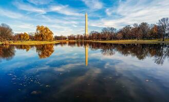 Washington, gelijkstroom, Verenigde Staten van Amerika - 12.16.2023 grondwet tuinen park in downtown Washington. foto