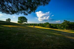 poughkeepsie college heuvel park foto