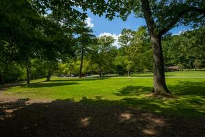 letchworth staat park midden- valt foto