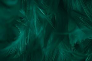 mooi donker groen viridiaan wijnoogst kleur trends veer structuur achtergrond foto